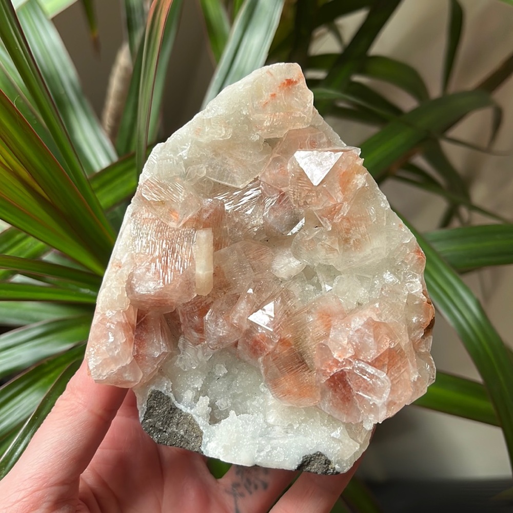 Apophyllite ✨